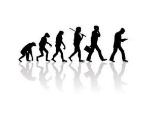 人間の進化の図